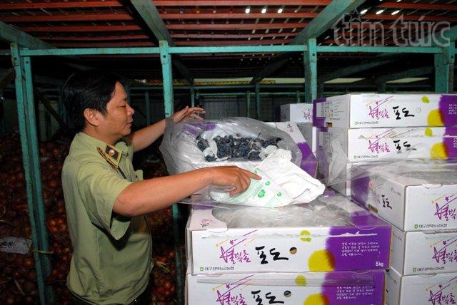 Phát hiện 23 tấn trái cây Trung Quốc thối ảnh 1
